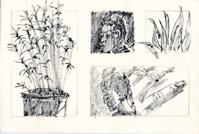 ink drawings of people and plants