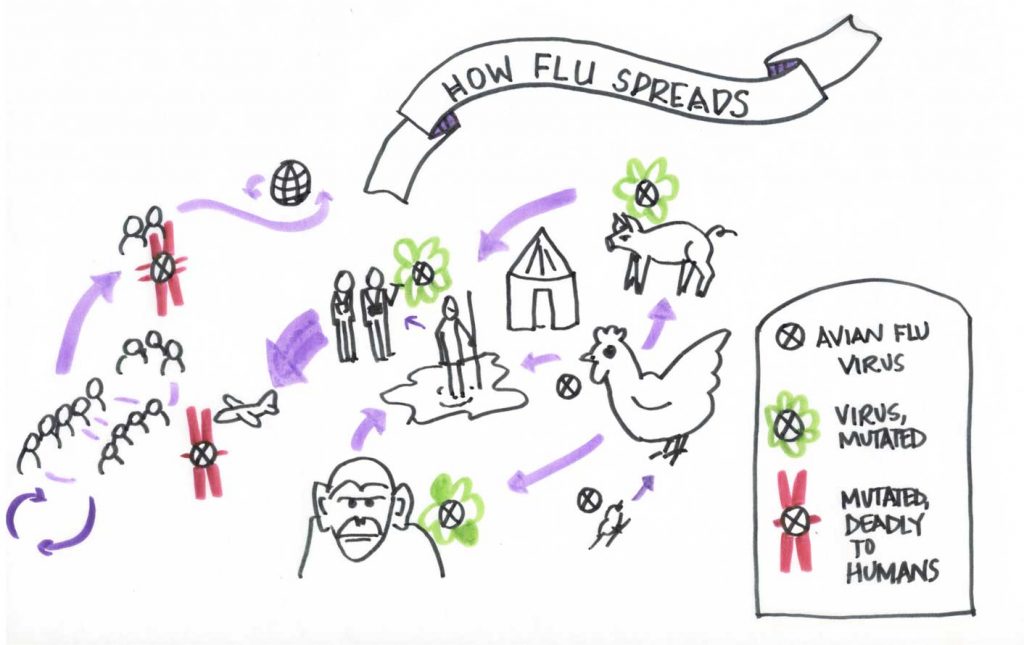 Drawing of the trajectory of the spread of a deadly disease