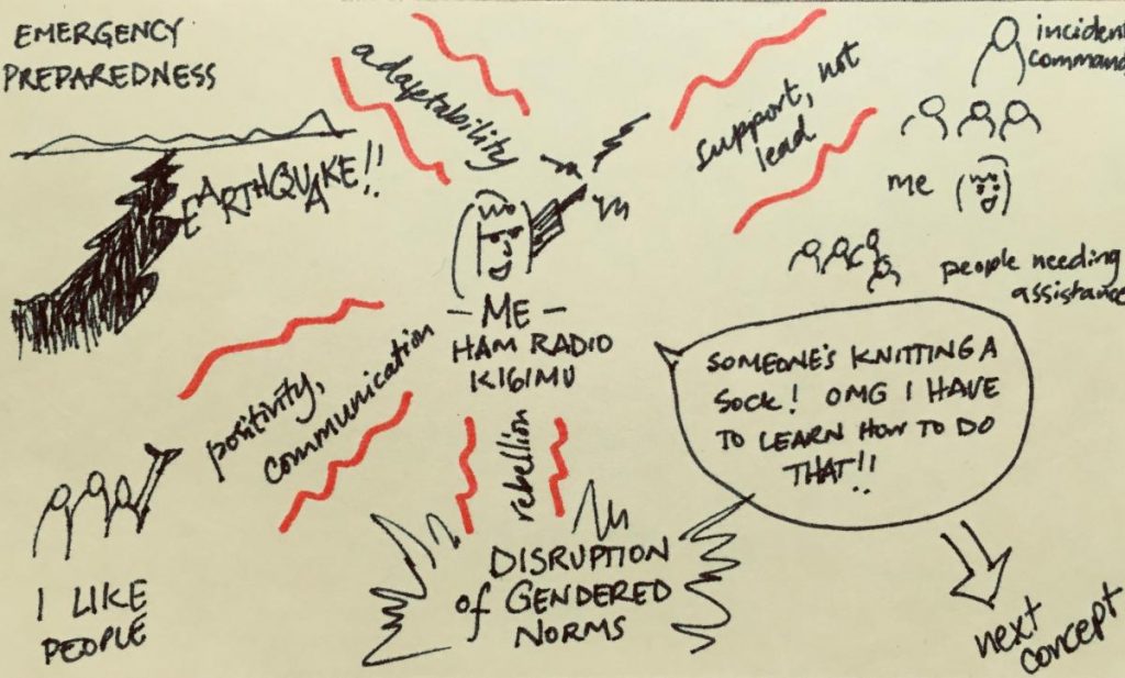 Diagram showing a woman's reasons for becoming an amateur radio operator (Ham)
